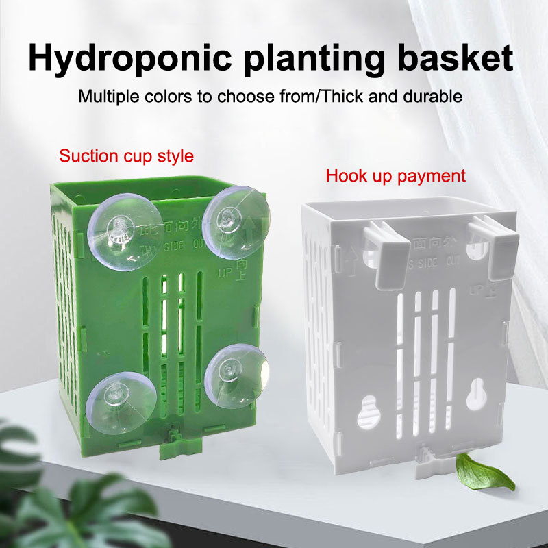 Plant Aquarium Pot - Gancio a ventosa sospeso Porta piante