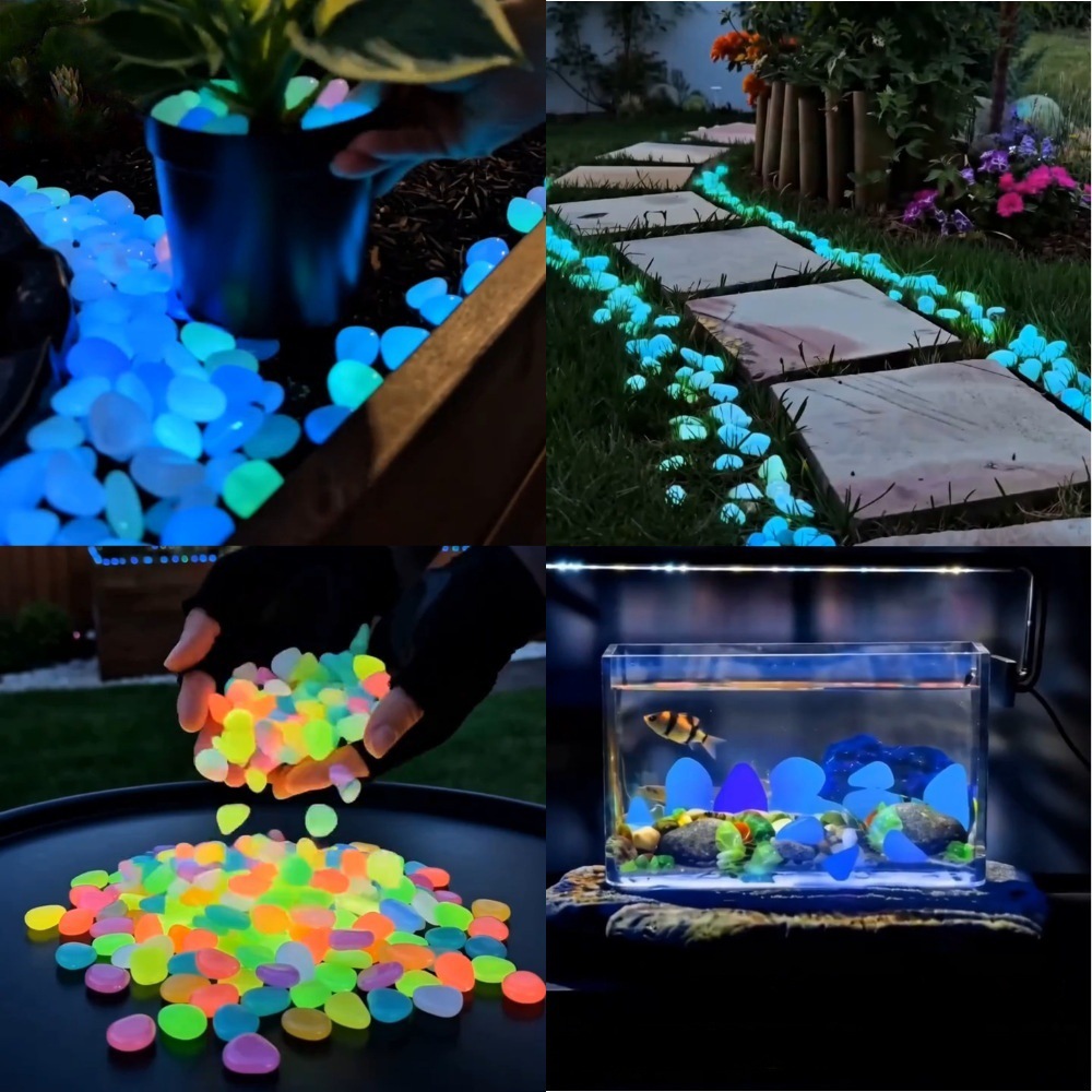 Plant Aquarium Pot - Ciottoli luminosi colorati che si illuminano