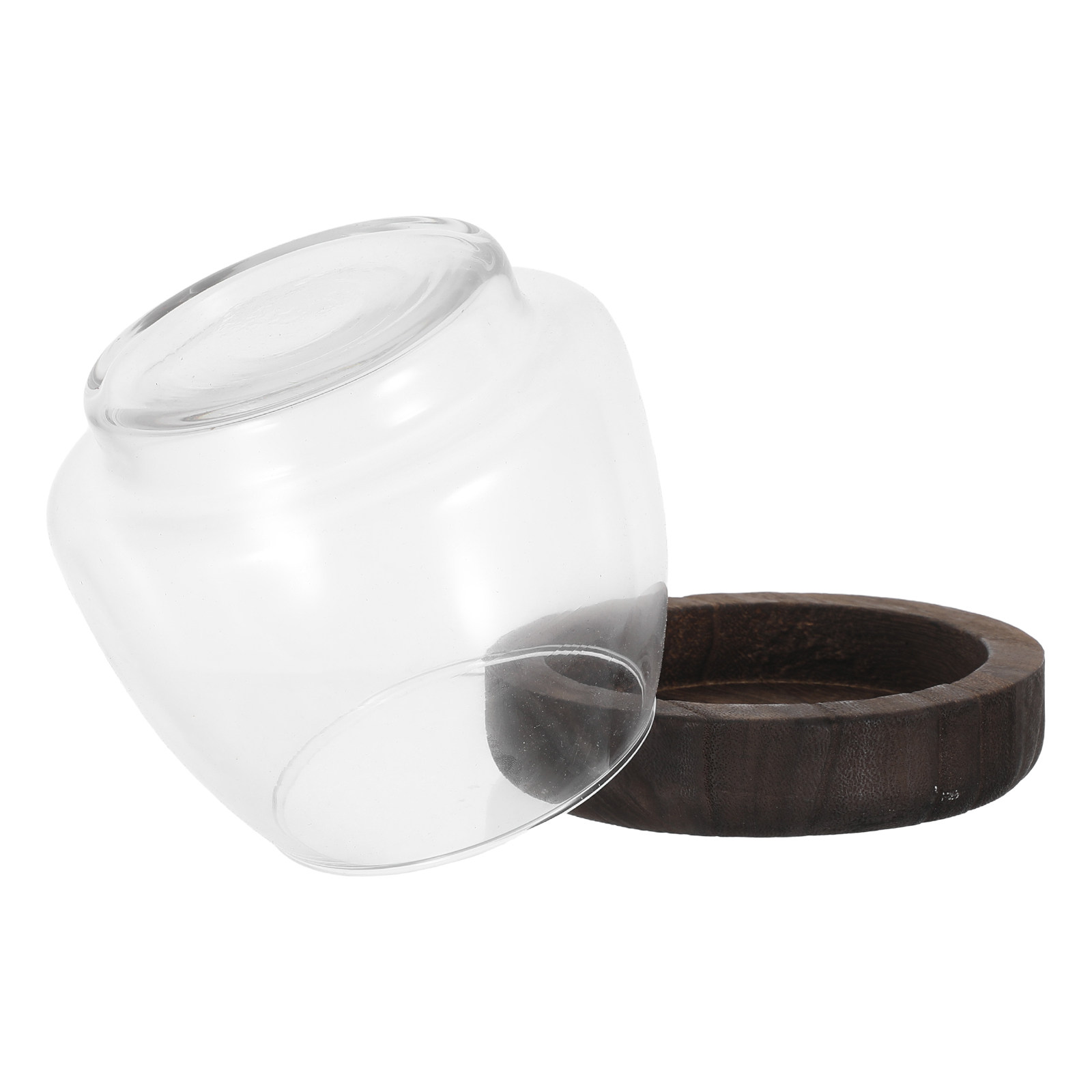 Aquarium Plant Holder - Vaso in vetro rotondo per piante
