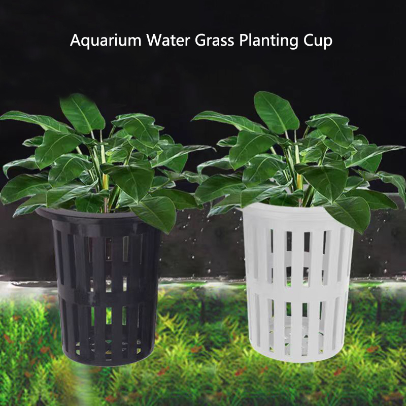 Aquarium Plants Live - 1/3 pezzi cesto per piante d'acquario