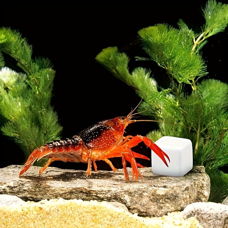 Aquarium Fertilizer - 6 Pezzi di Blocchi di Calcio