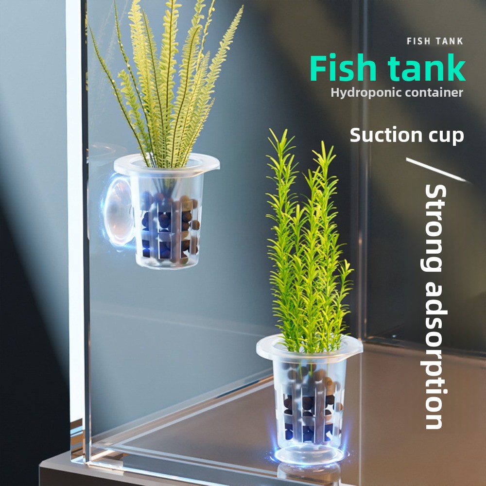 10 Pezzi Vasi Idroponici Trasp - Plant Aquarium Pot recensione e prezzo