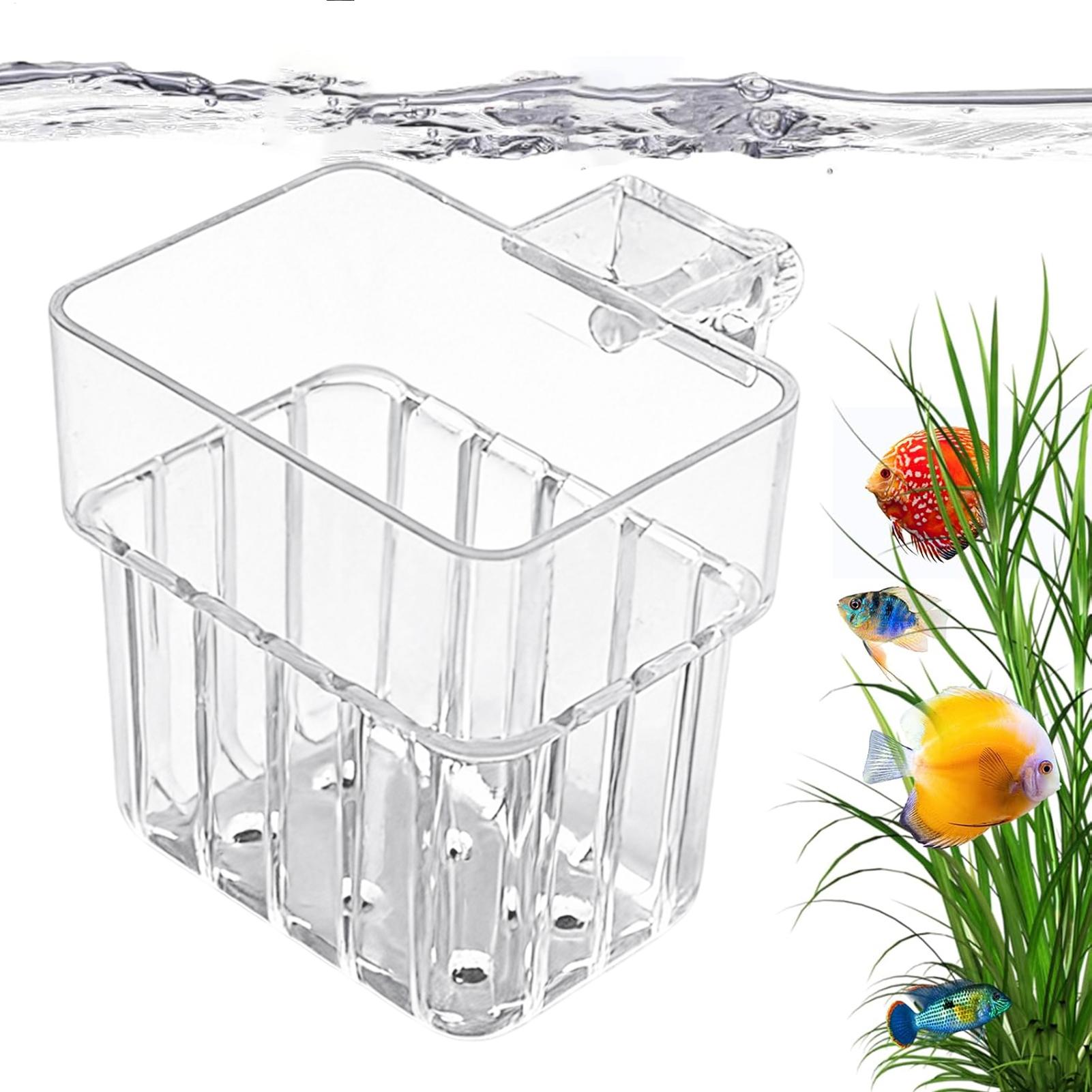 Vaso Trasparente Appendibile p - Aquarium Plants Live recensione e prezzo