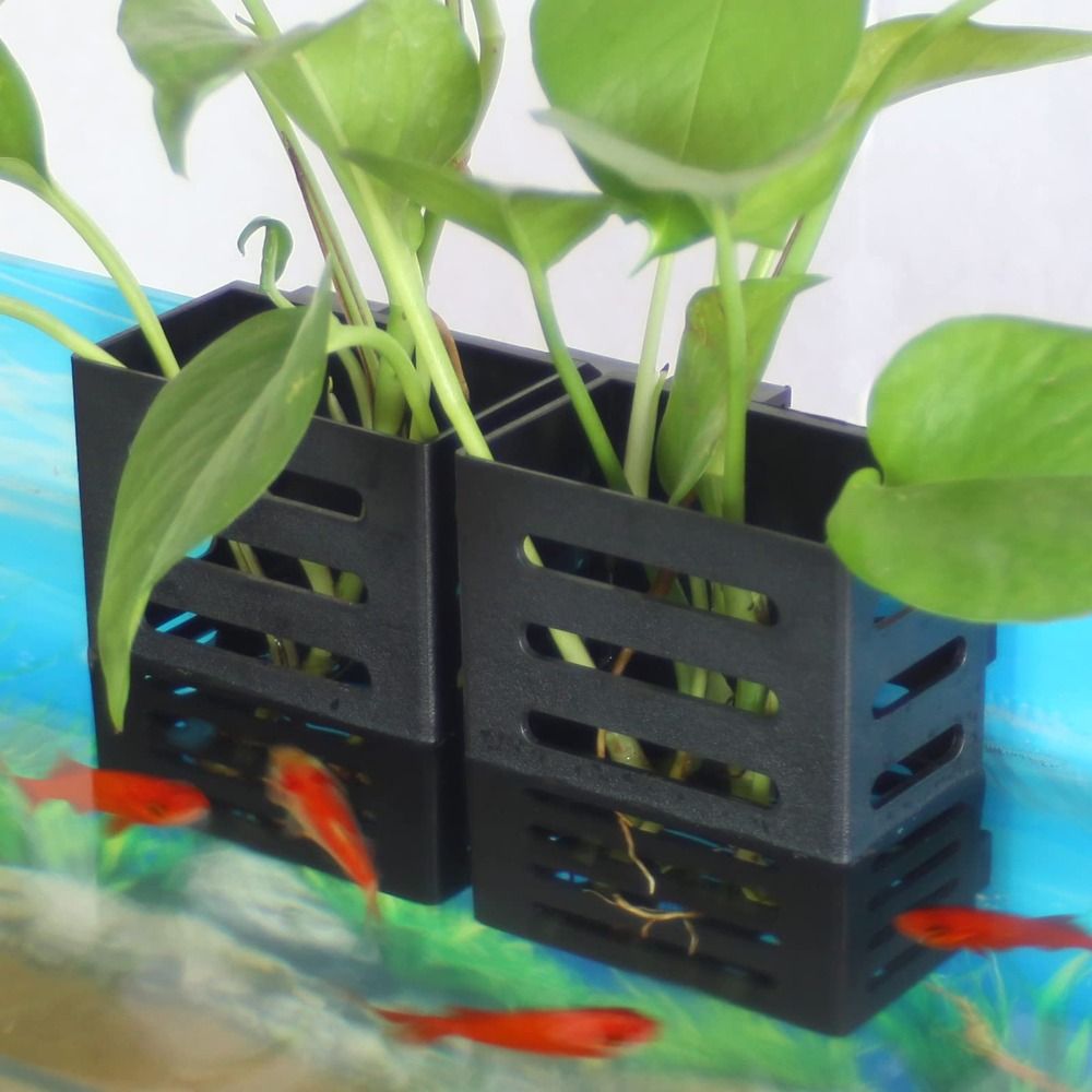 Porta piante per acquario con  - Aquarium Plant Holder recensione e prezzo
