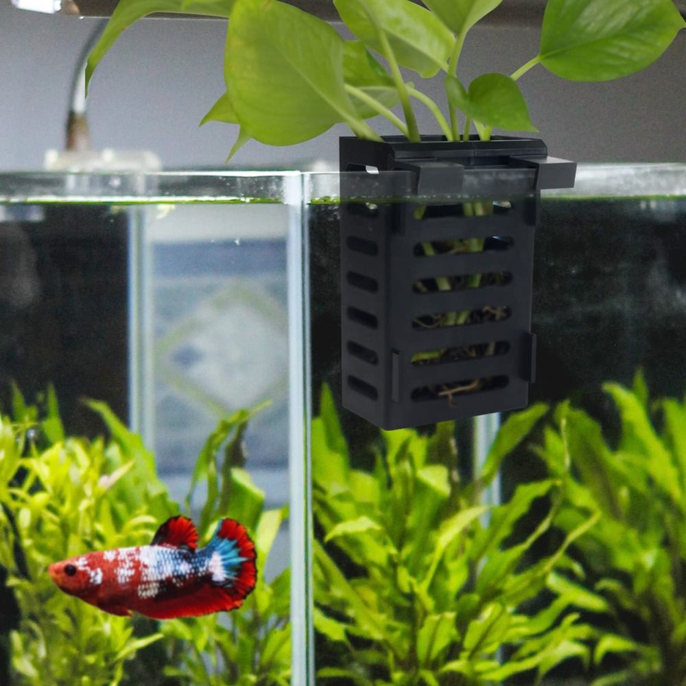 Porta piante per acquario con  - Aquarium Plant Holder recensione e prezzo