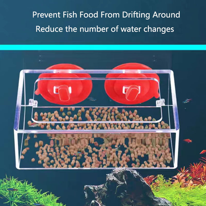 Anello di alimentazione per ac - Aquarium Fertilizer recensione e prezzo