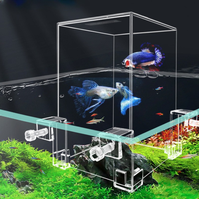 Serbatoi per acquari creativi  - Plant Aquarium Pot recensione e prezzo