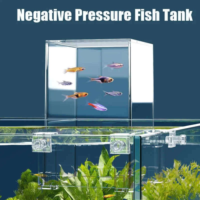 Serbatoi per acquari creativi  - Plant Aquarium Pot recensione e prezzo