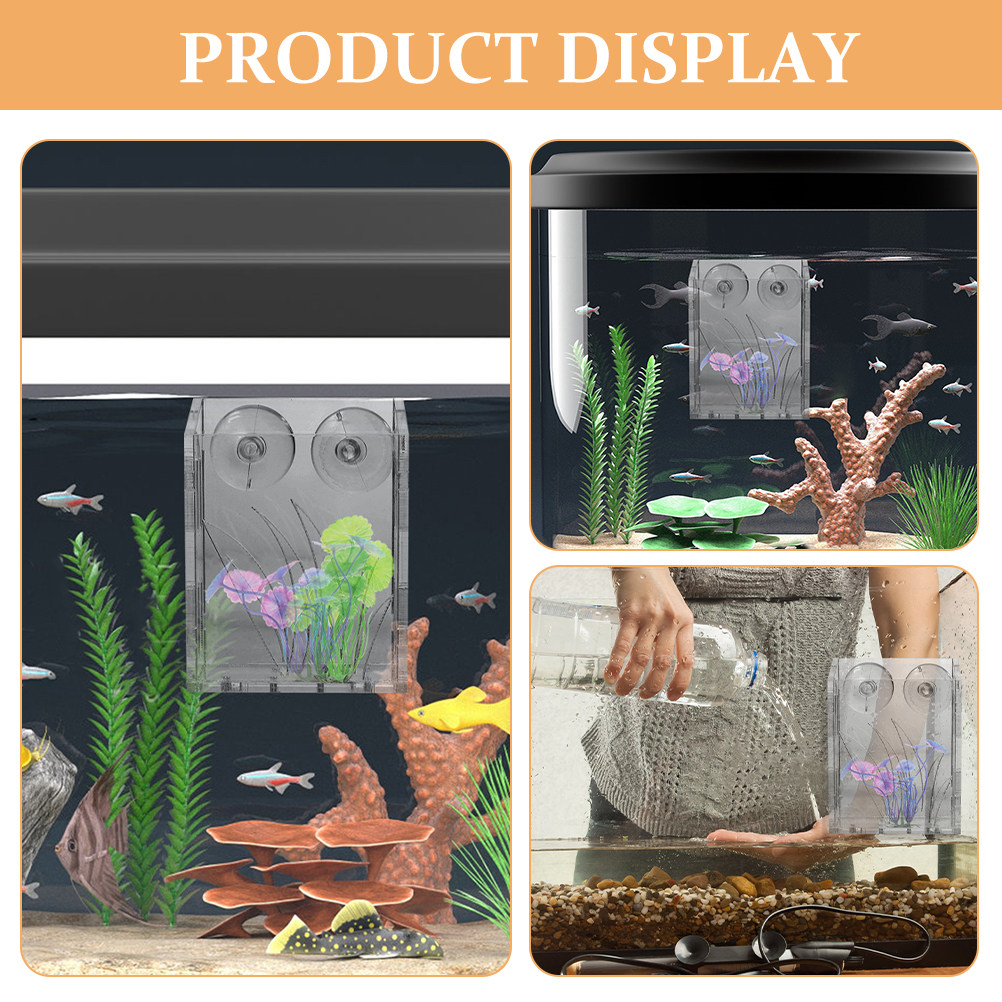3 pezzi di supporti trasparent - Plant Aquarium Pot recensione e prezzo
