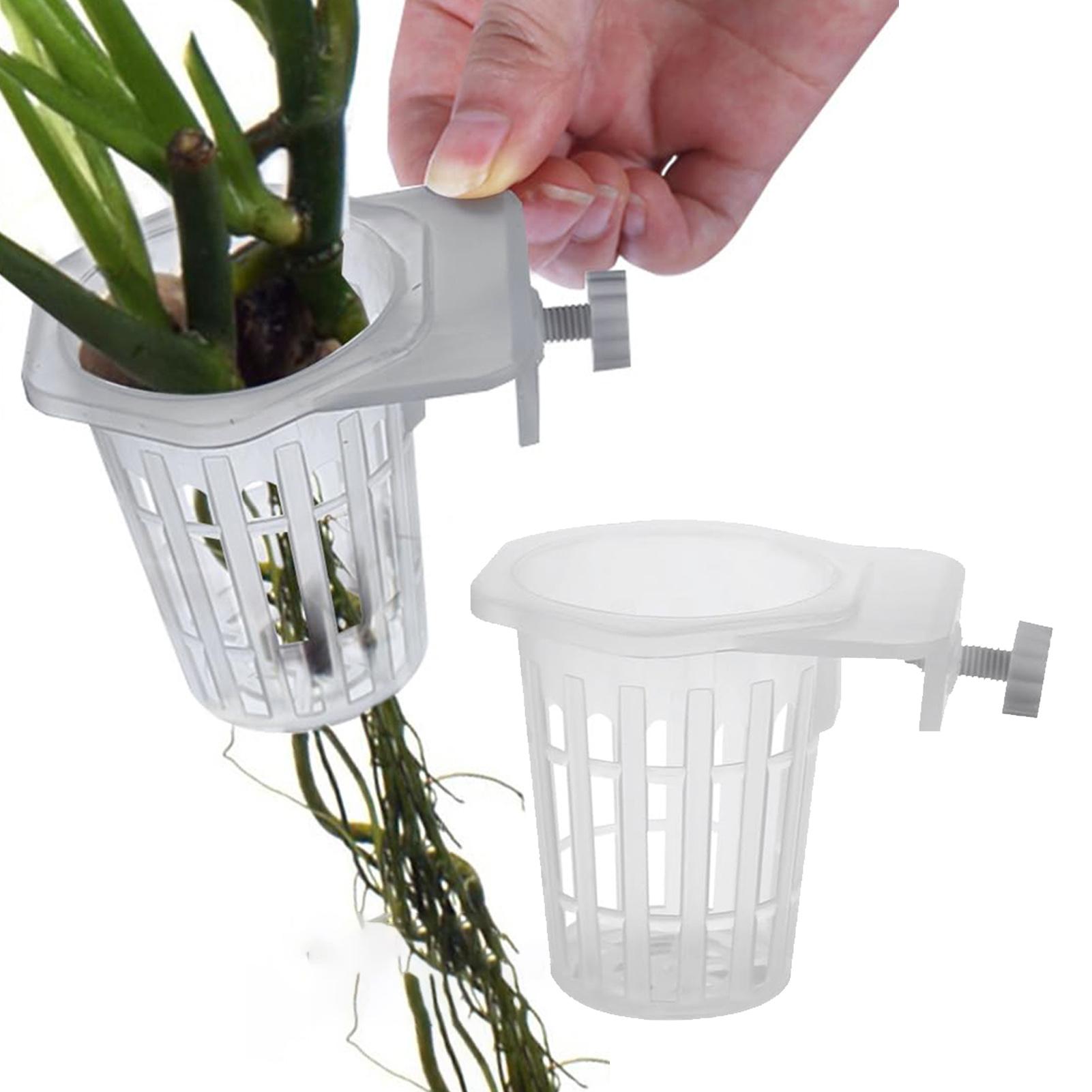2 pezzi di supporti per piante - Plant Aquarium Pot recensione e prezzo