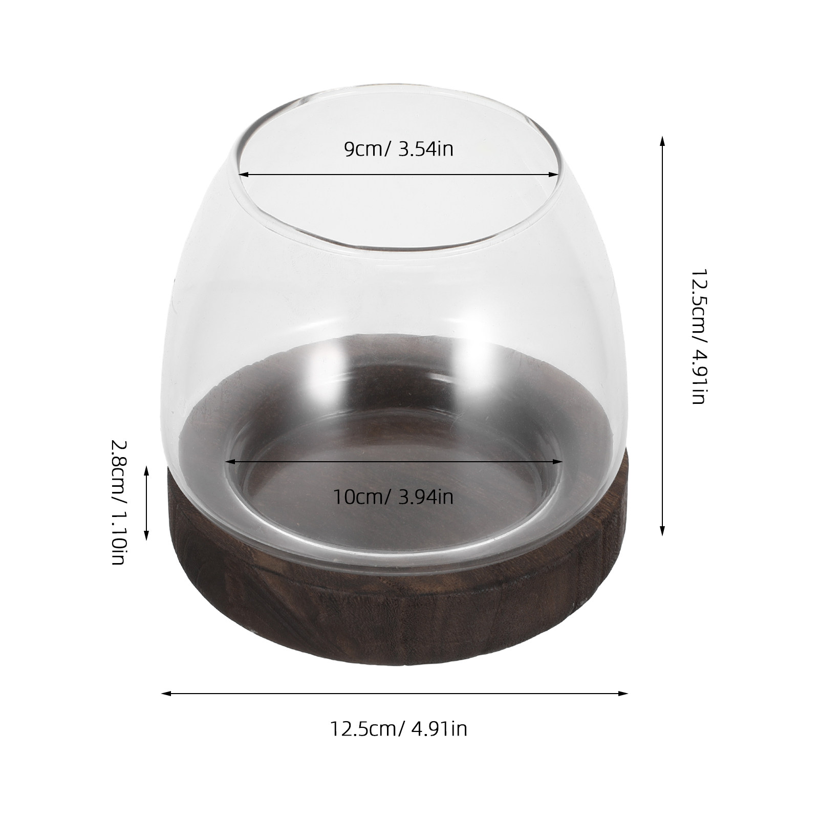 Vaso in vetro rotondo per pian - Aquarium Plant Holder recensione e prezzo