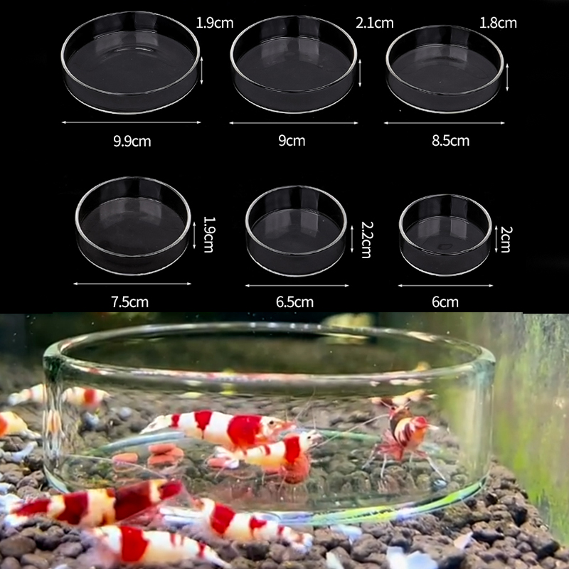 Piatto di alimentazione per ga - Aquarium Fertilizer recensione e prezzo