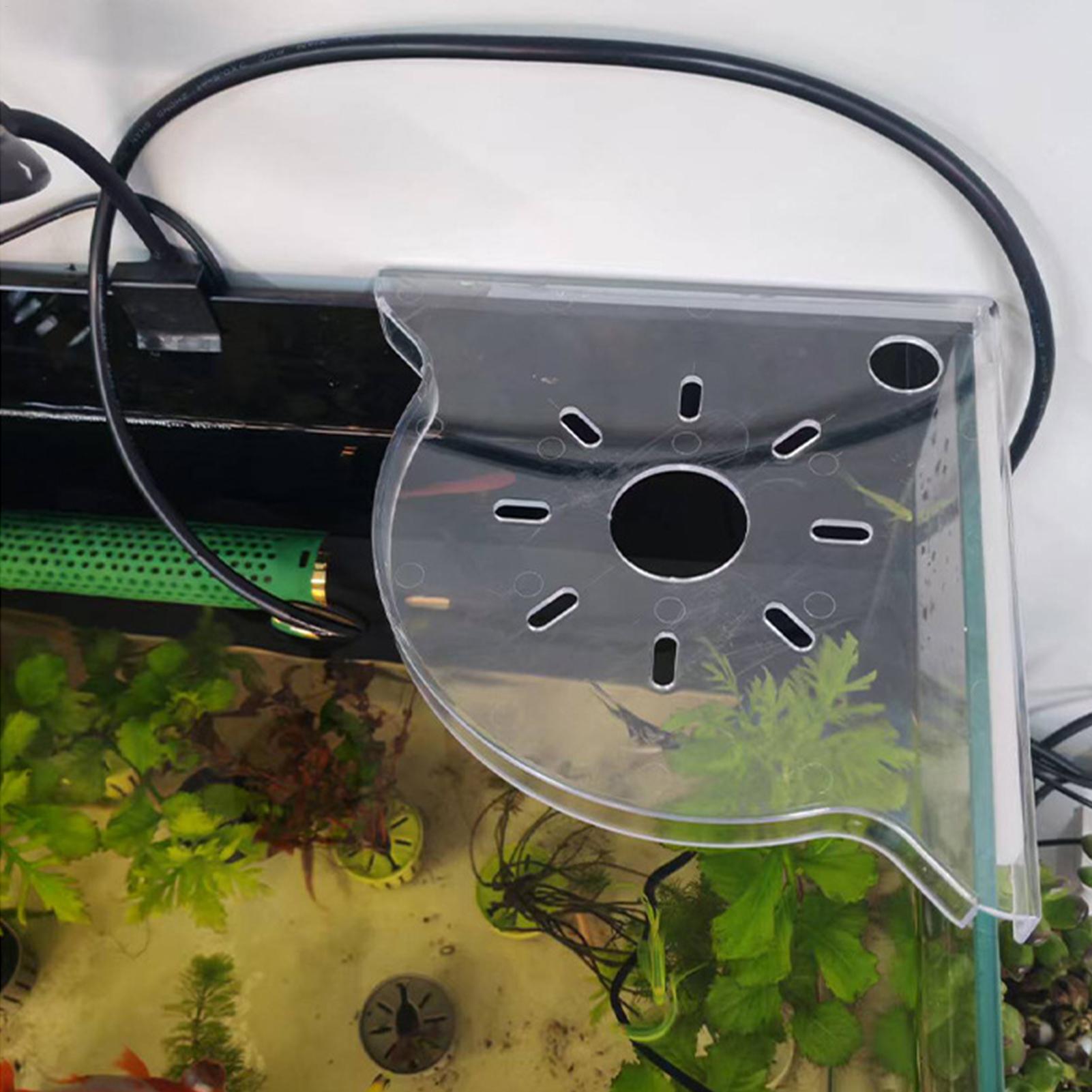Scaffale Angolare per Acquario - Aquarium Plants Live recensione e prezzo