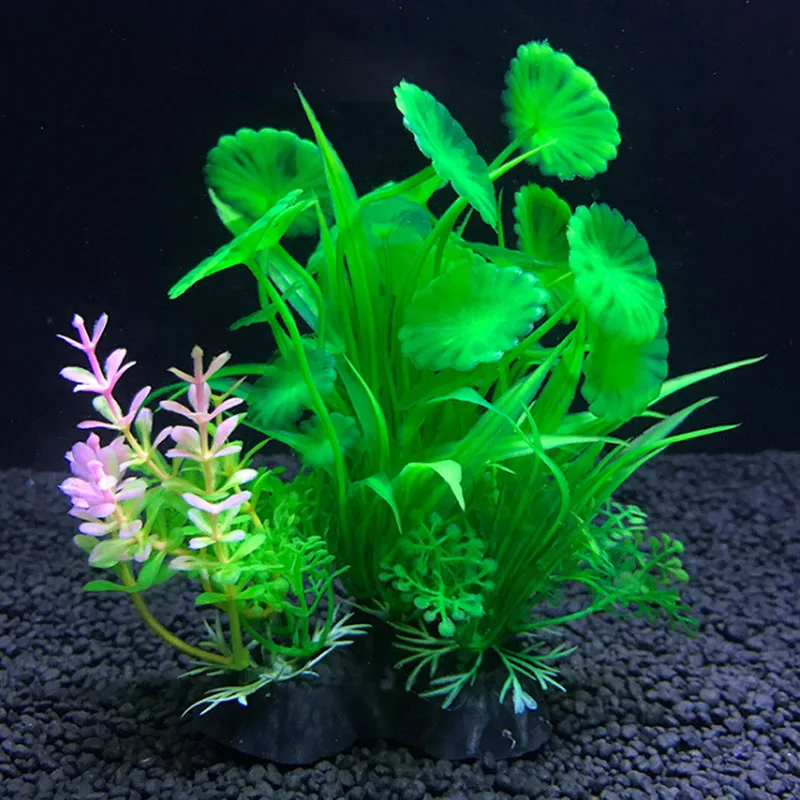 Acquario Decorazioni Artificia - Live Plant Aquarium recensione e prezzo