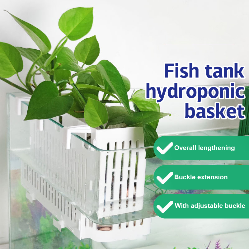 【F】Porta-piante sospeso per ac - Aquarium Plant Holder recensione e prezzo