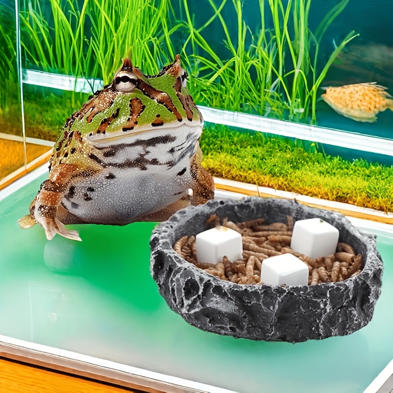 6 Pezzi di Blocchi di Calcio p - Aquarium Fertilizer recensione e prezzo